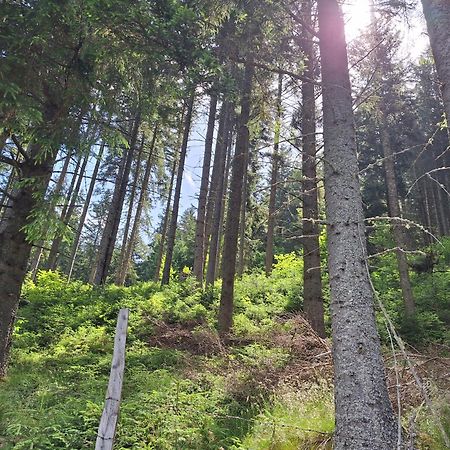 Naturpark Bauernhof Sperl Mariahof エクステリア 写真
