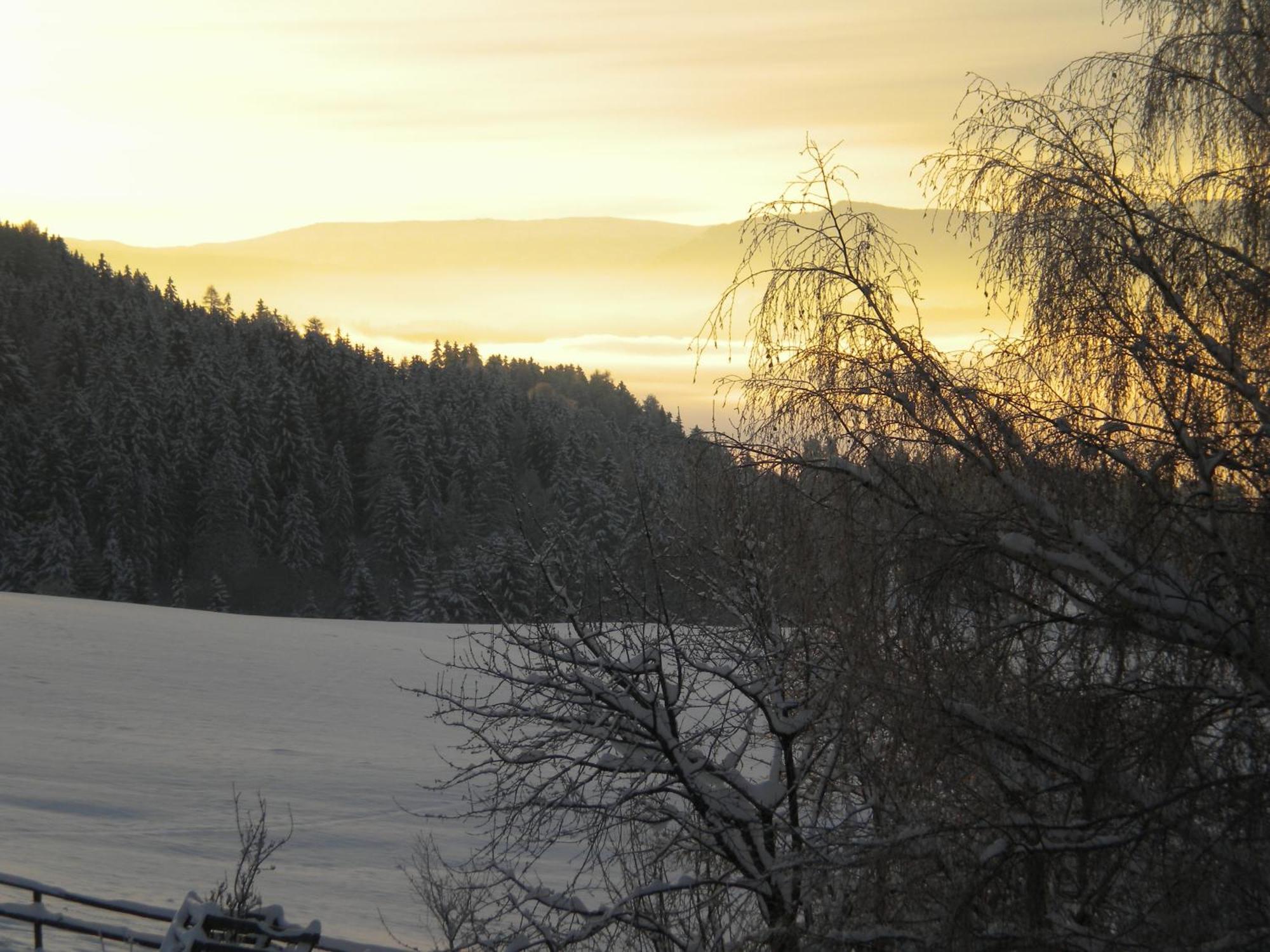 Naturpark Bauernhof Sperl Mariahof エクステリア 写真